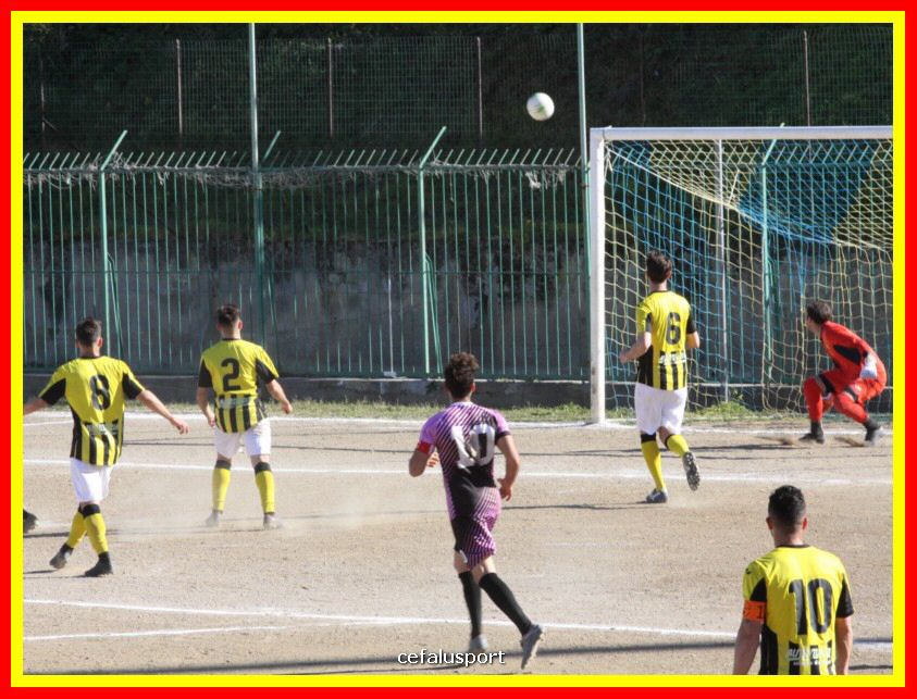 190310 Cephal_Torrenov 083_tn.jpg
